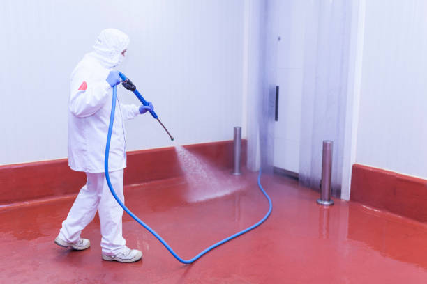 Best Pool Deck Cleaning  in Wasco, CA