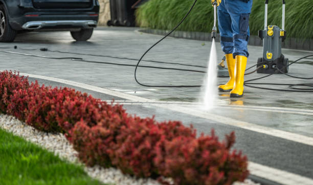 Best Patio and Deck Pressure Washing  in Wasco, CA